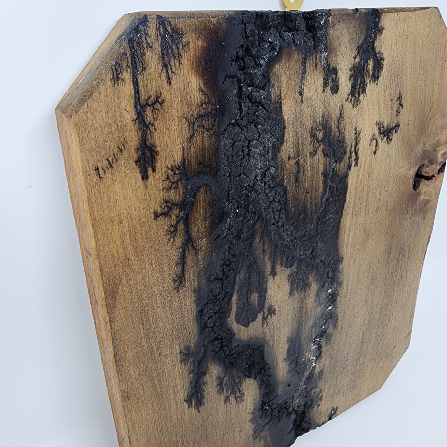 Charred Wood Art
