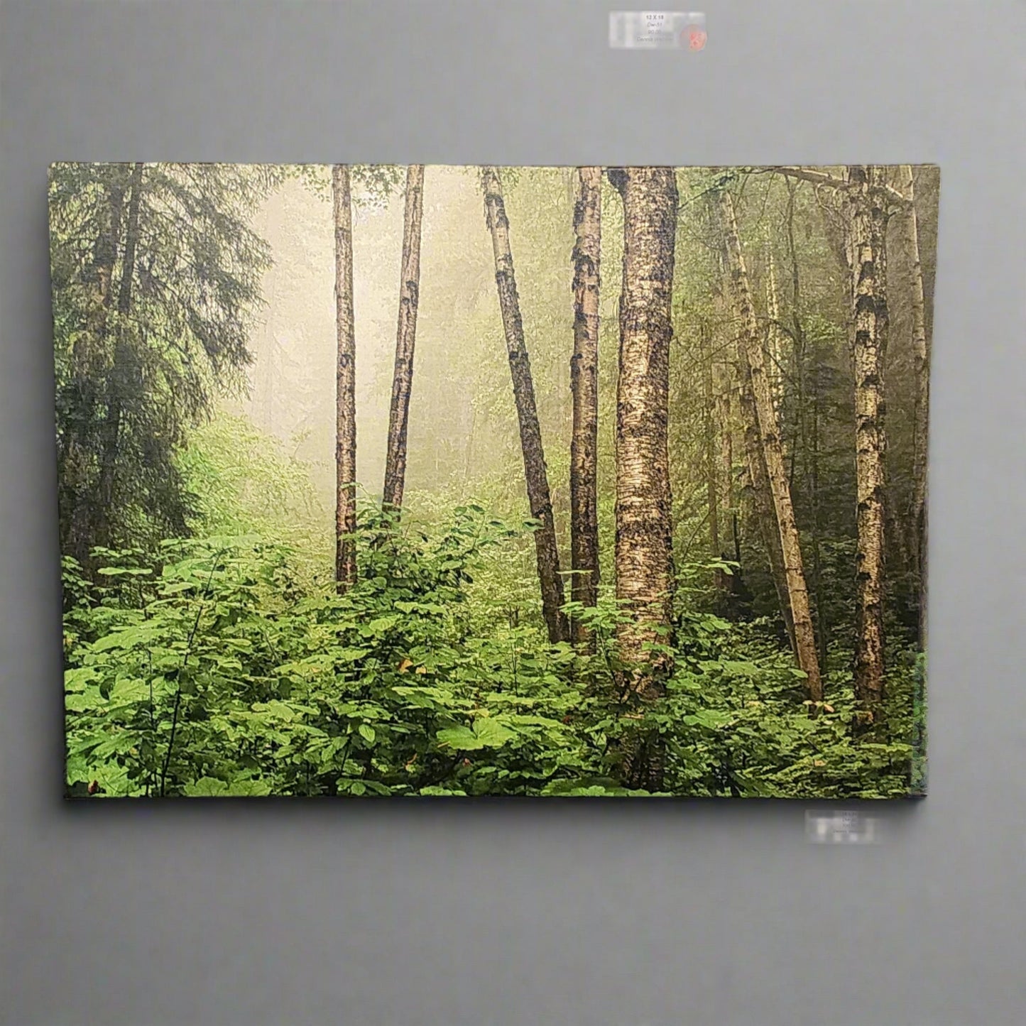 Into the Forest I Go A1