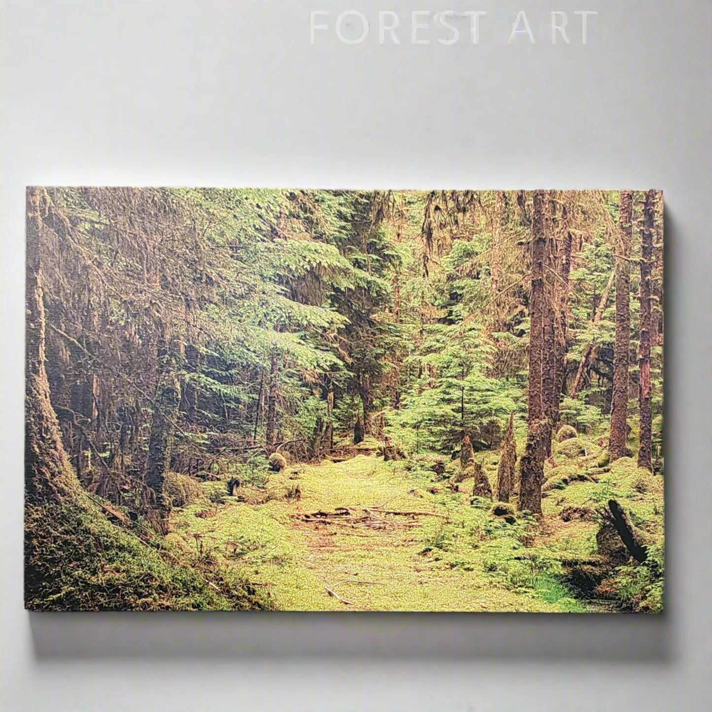 Into the Forest I Go A2