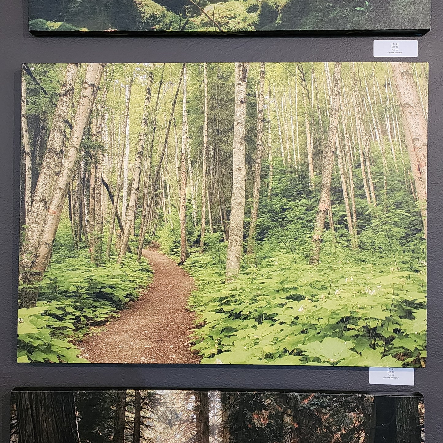 Into the Forest I Go A4