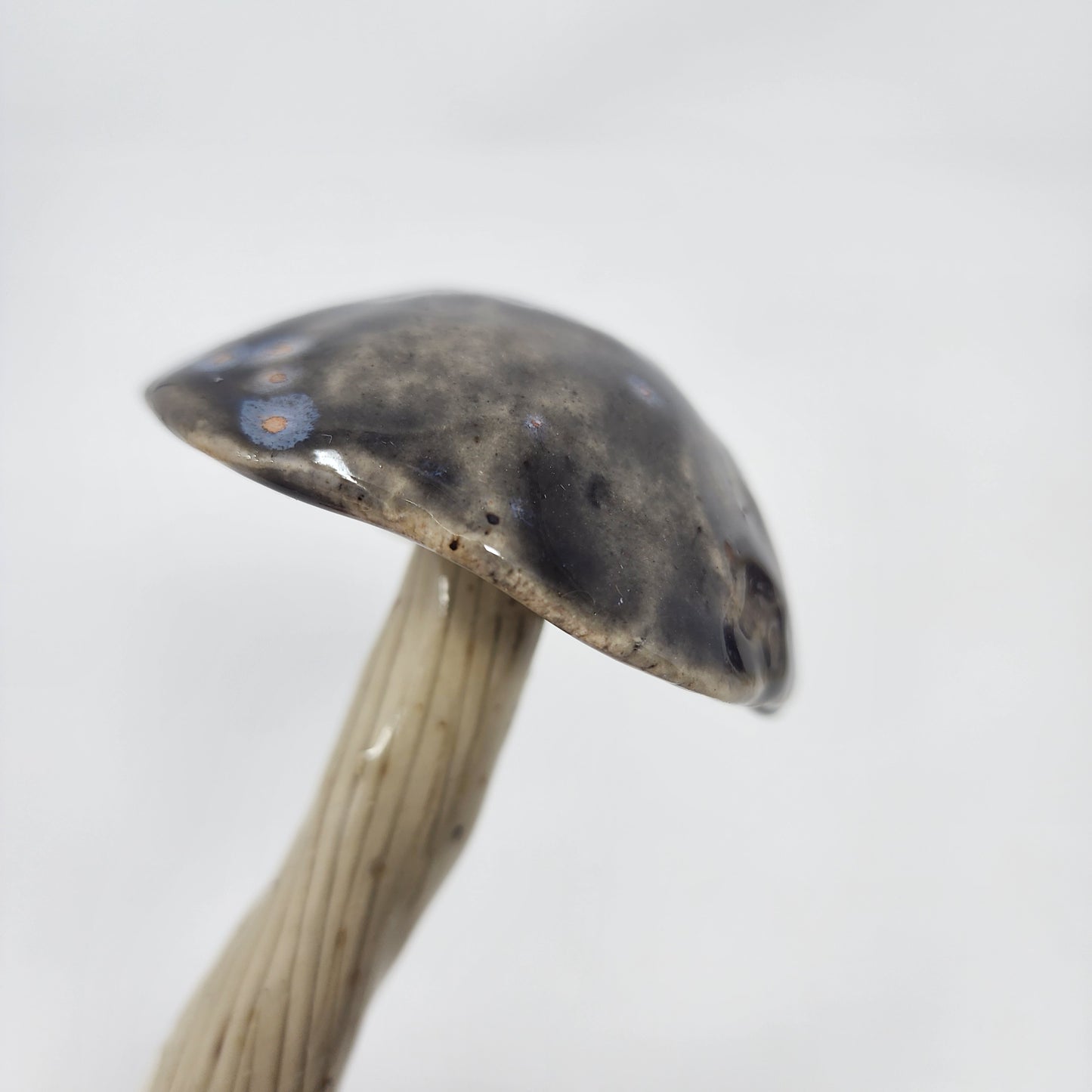 Decorative Mushrooms