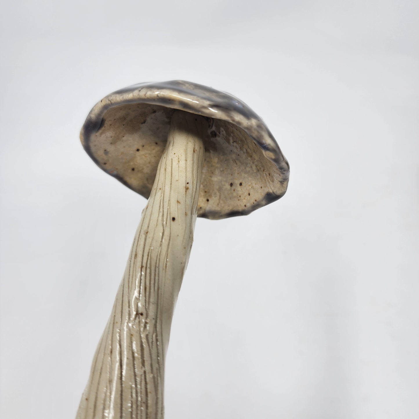 Decorative Mushrooms