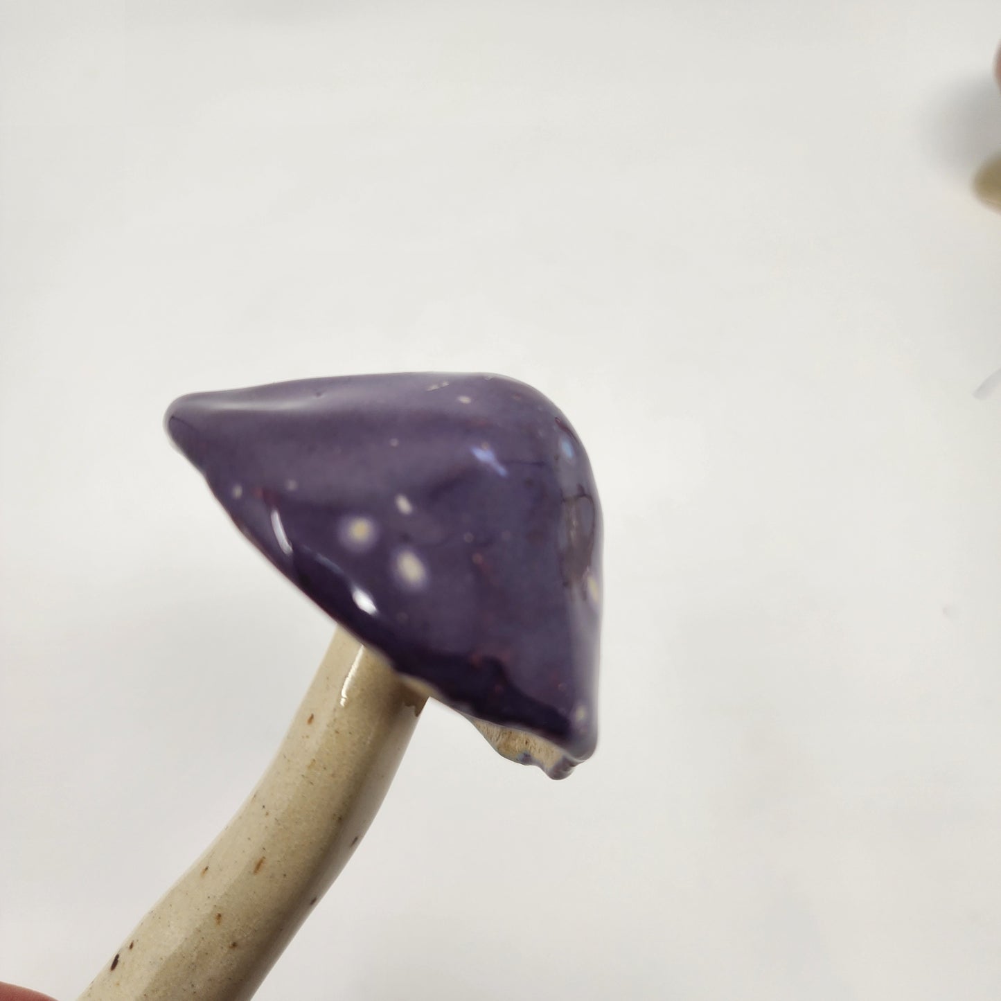 Decorative Mushrooms