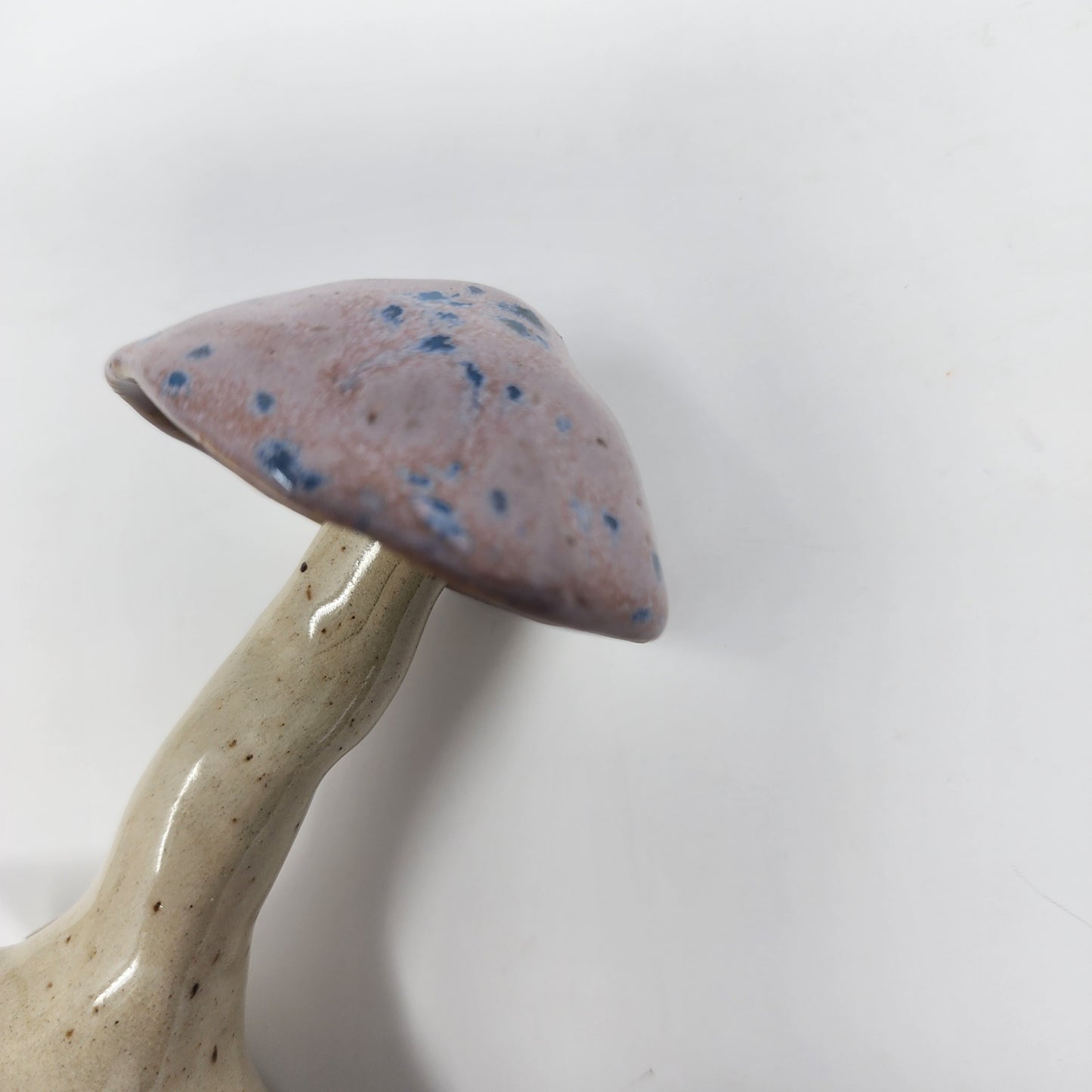 Decorative Mushrooms