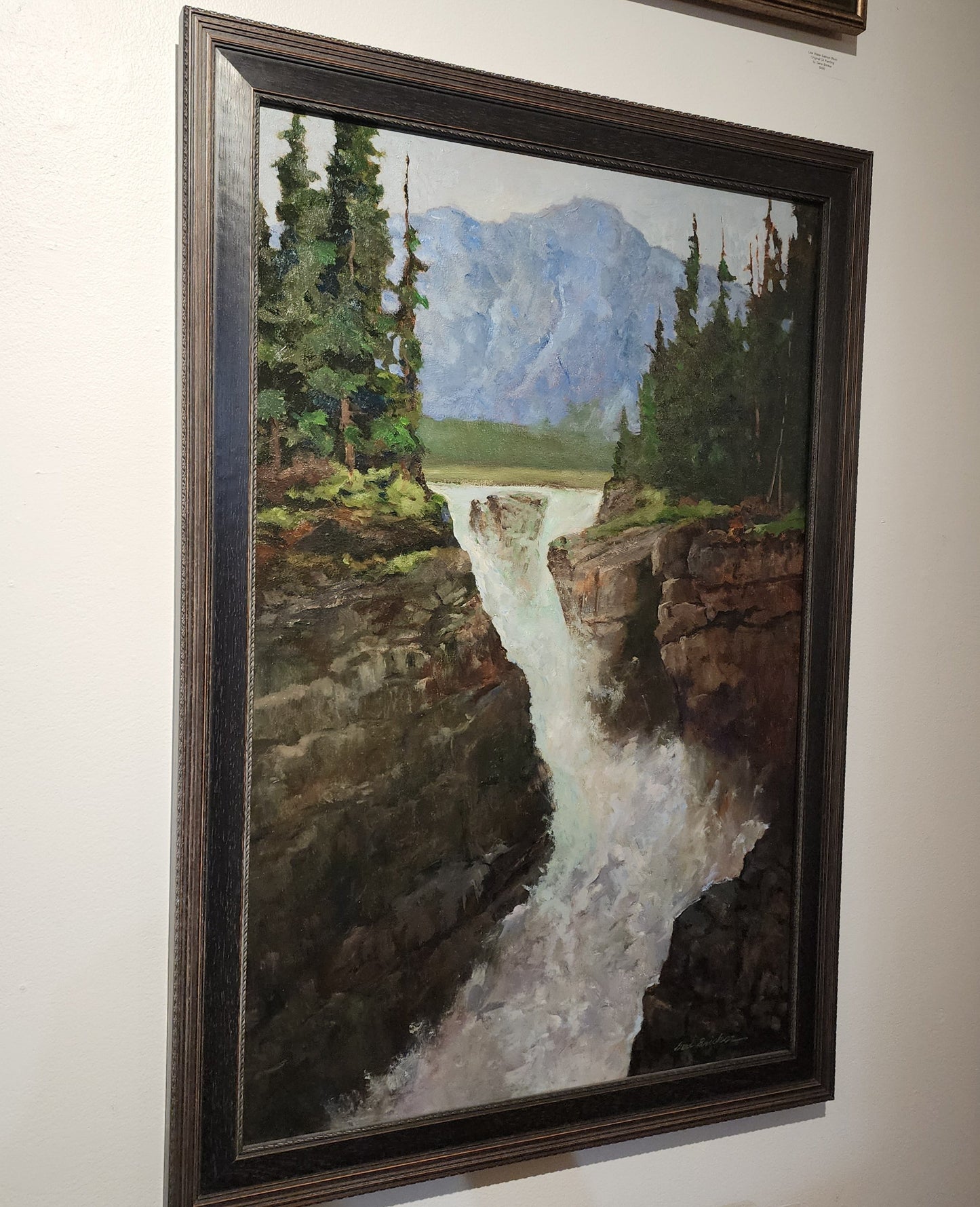 Athabasca Falls