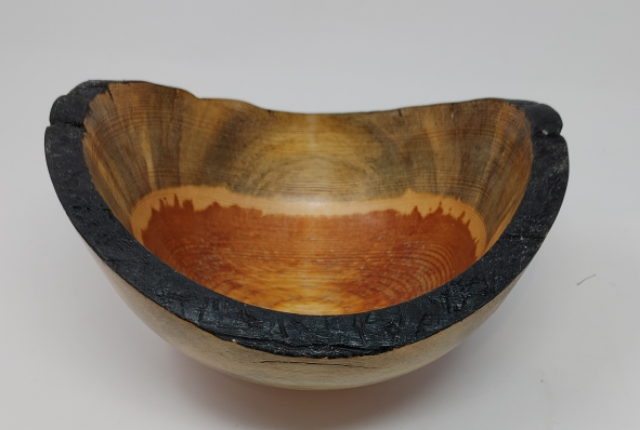 Beetle Pine Bowl