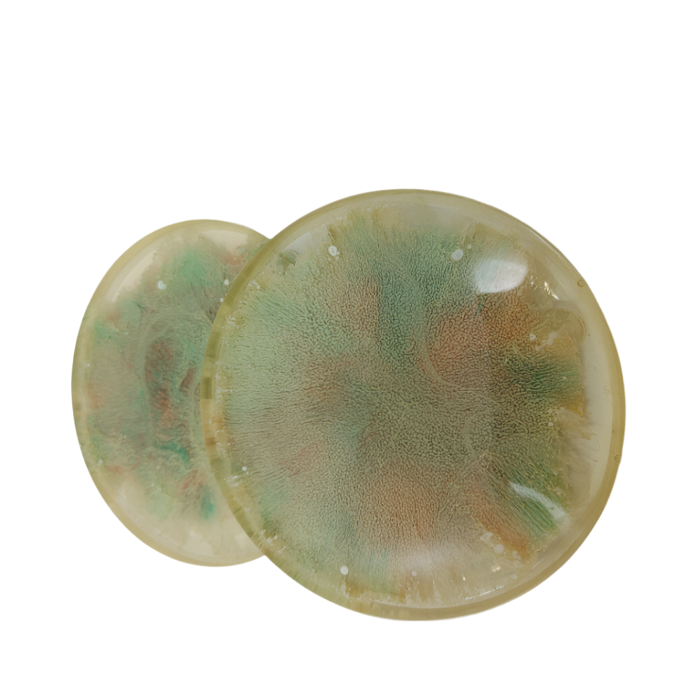 Coasters - set of 2