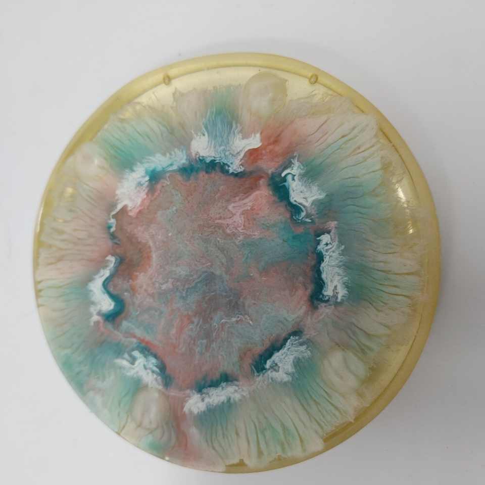 Coasters - set of 2