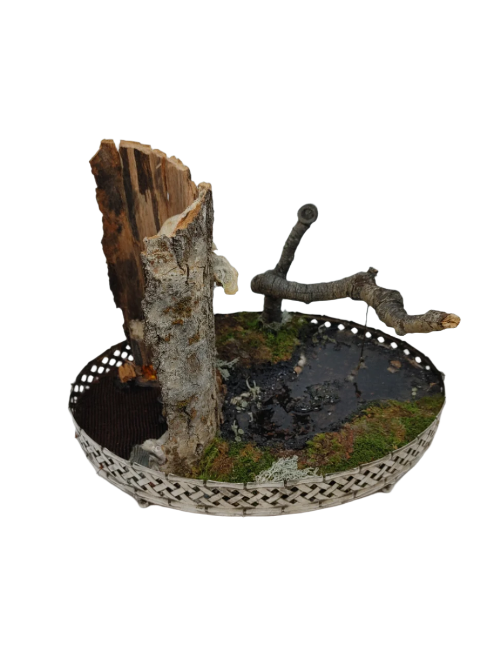 Oval Hobbit House