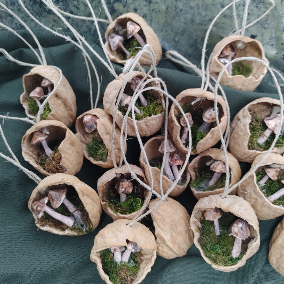 Hanging Walnut