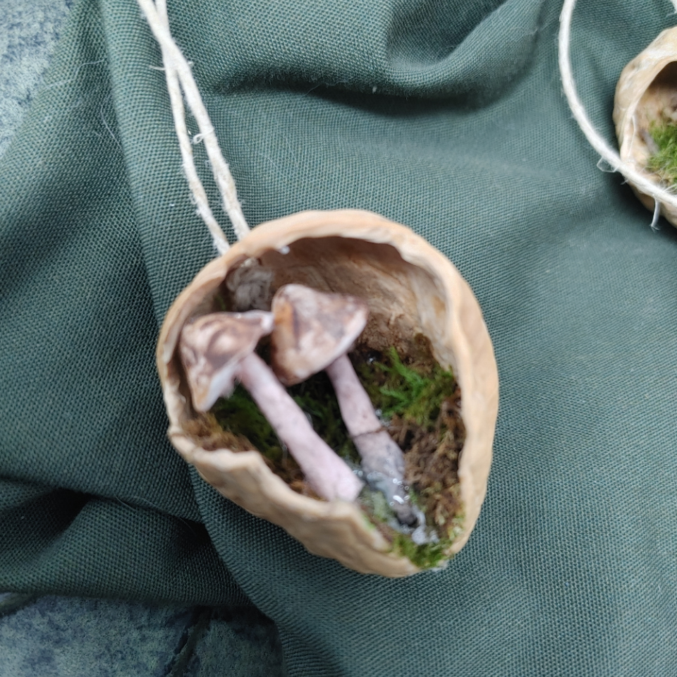 Hanging Walnut