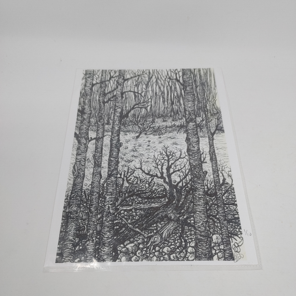 Printed Original Drawing