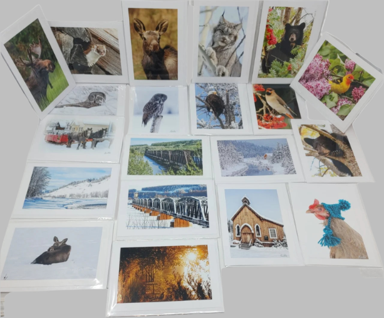 Note Cards - Pat Suter