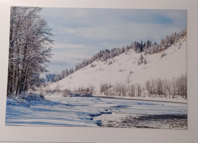 Note Cards - Pat Suter