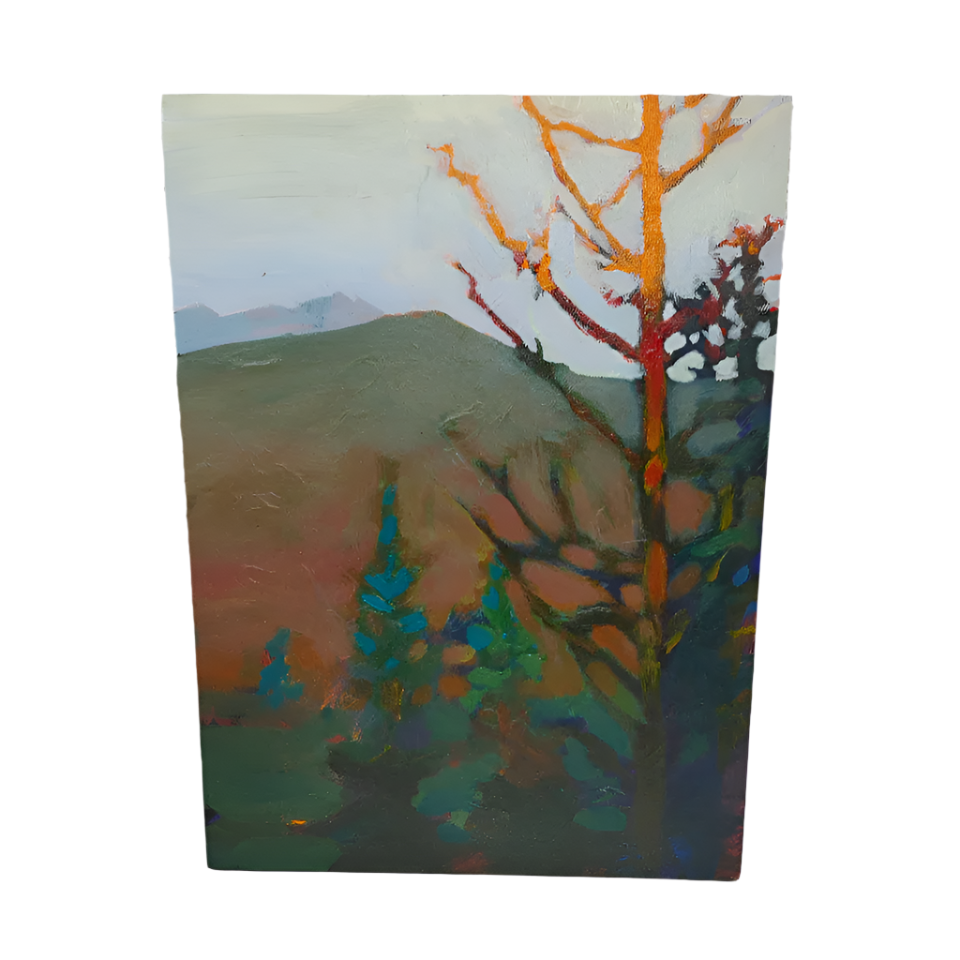 Fraser Canyon At Dusk - Painting On Wood