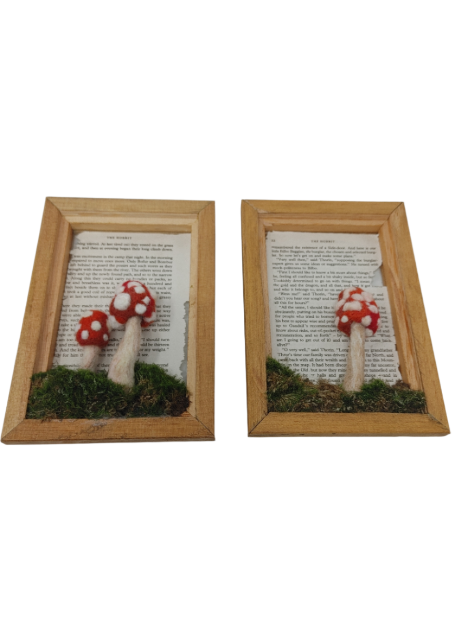 Felted Mushroom