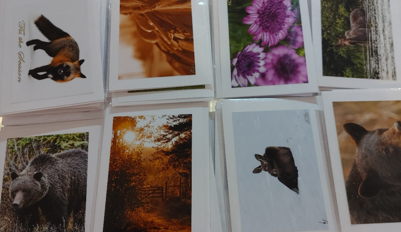 Note Cards - Pat Suter