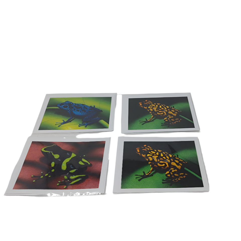 Frog's Cards
