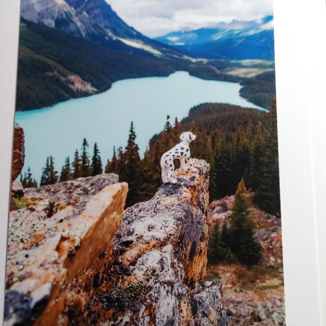 Toys - Cards of Frances Gobbi