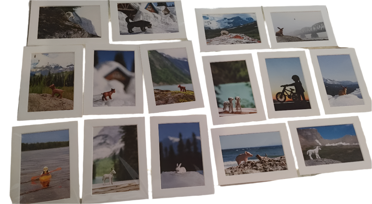 Framed Photo Card of Toys - Frances Gobbi