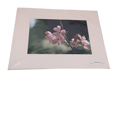 Matted Picture