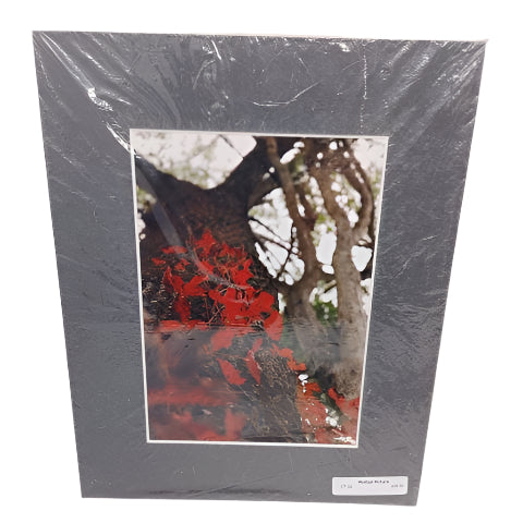 Matted Picture