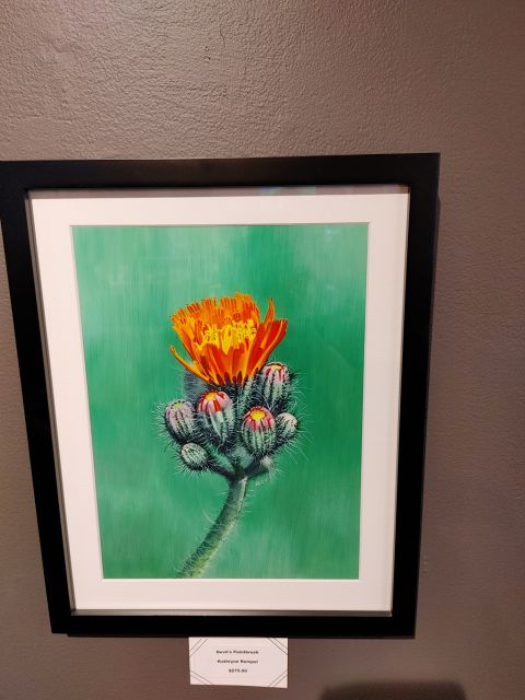 Devil's Paintbrush - Watercolor