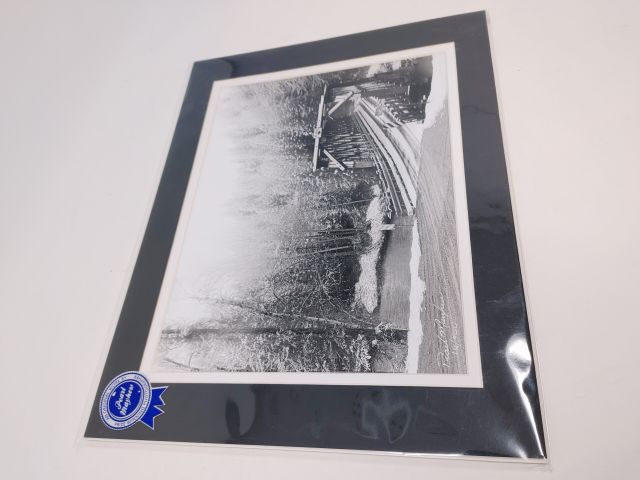 Old Cottonwood Bridge - Photo Print