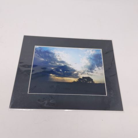 Kelly's Photos