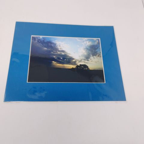 Kelly's Photos