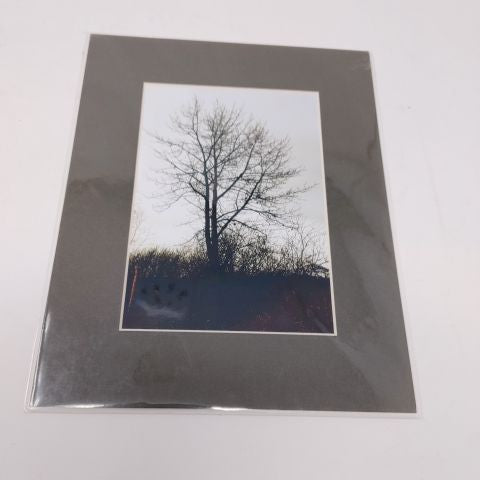 Kelly's Photos