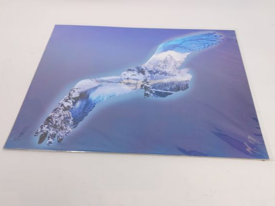 Animals Photography Prints