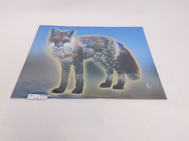 Animals Photography Prints