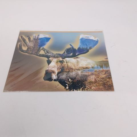 Animals Photography Prints