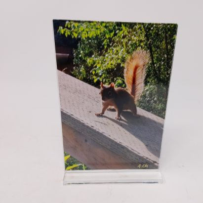Cottonwood Island Nature Park in Prince George - Photos in Frame