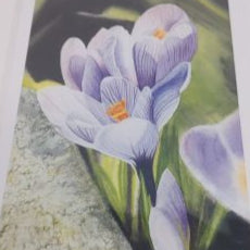 Spring Greetings - Card