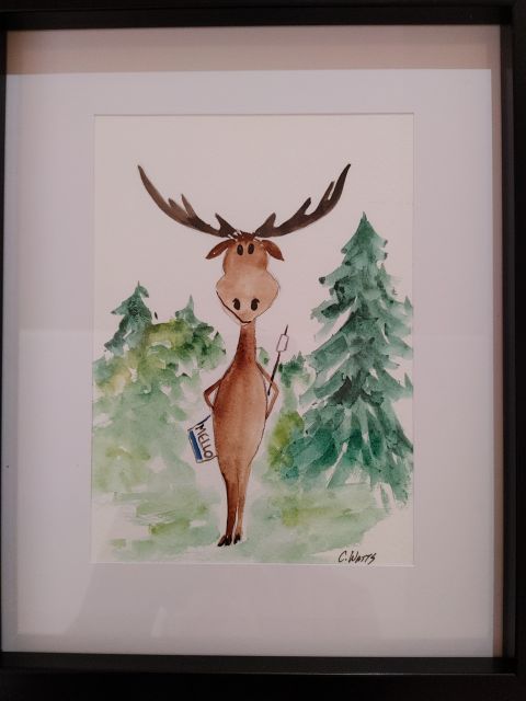 Animal Camp Book - Illustrations