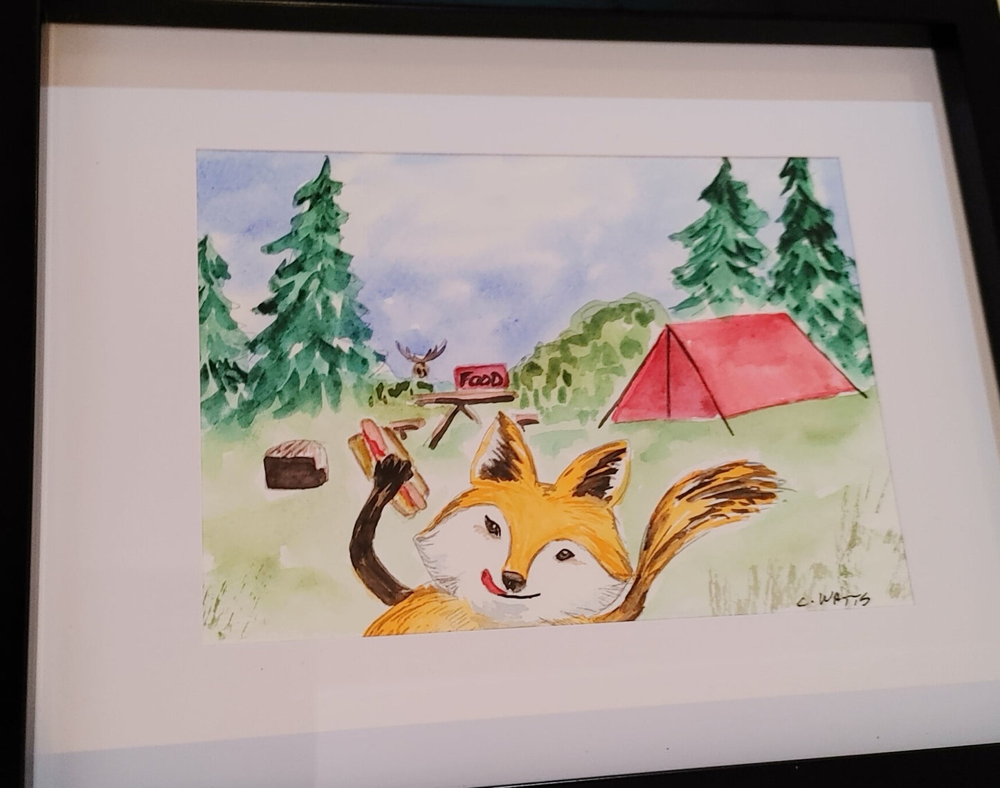 Animal Camp Book - Illustrations