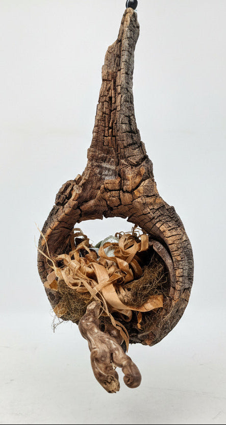 Cottonwood Knot Hanging