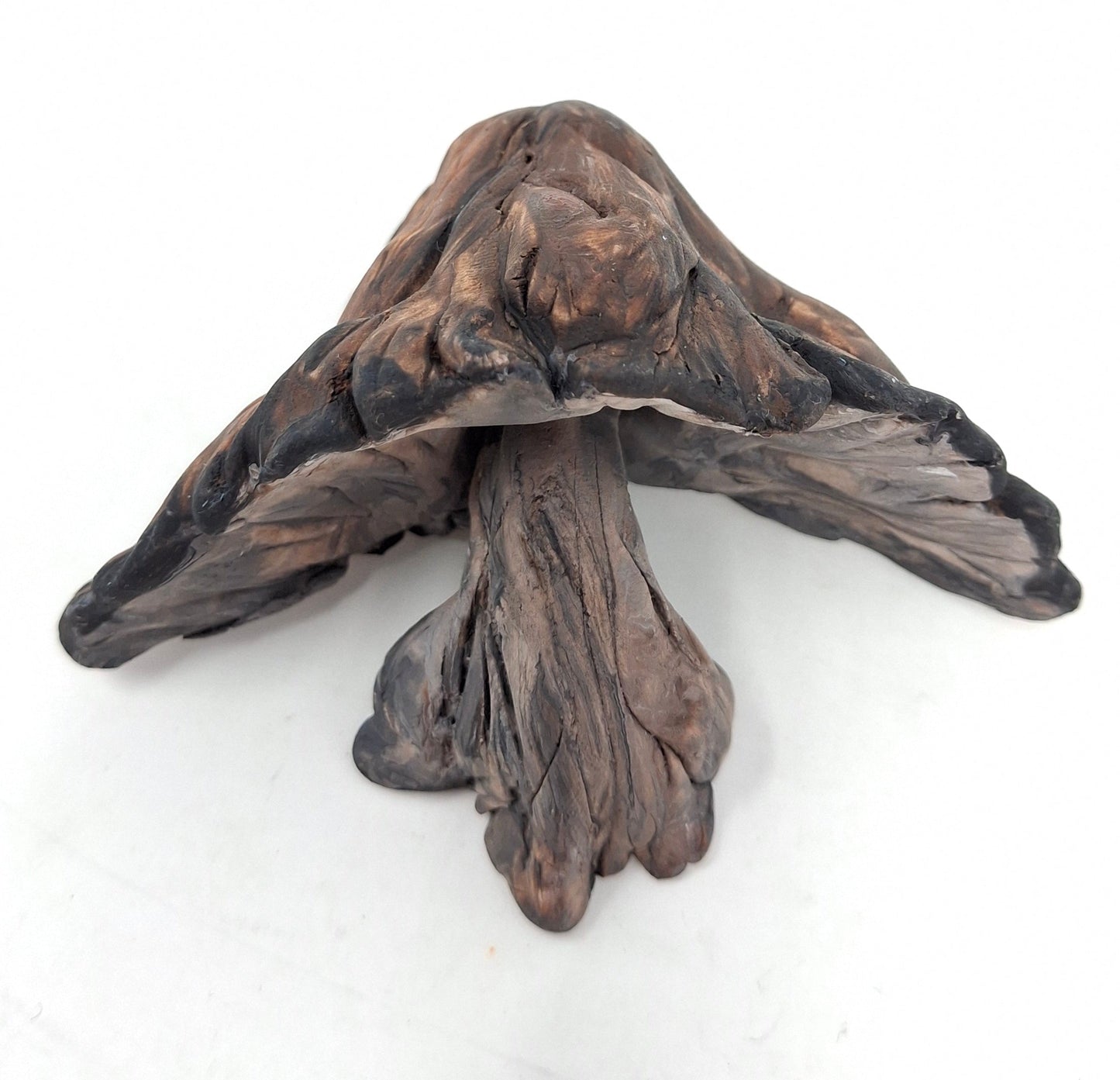 Mushroom Magnet