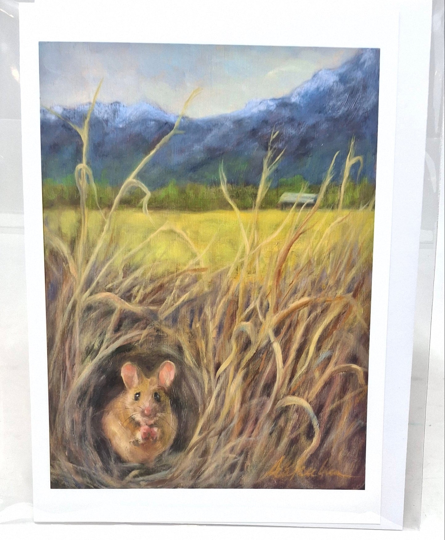 Art Cards - Should I stay or should I go?
