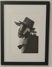 Goat with a Top Hat
