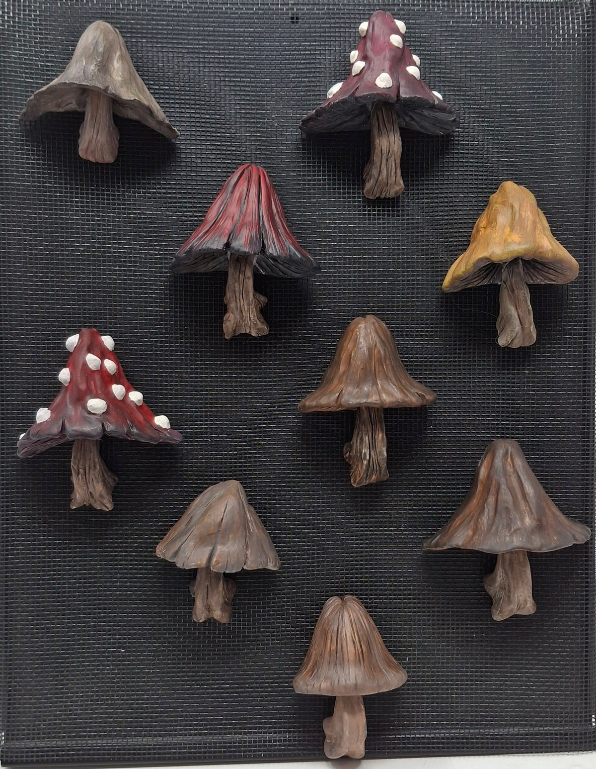 Mushroom Magnets
