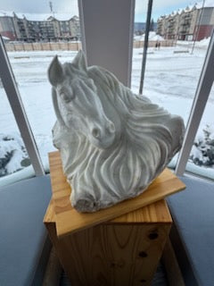 Horse With No Name