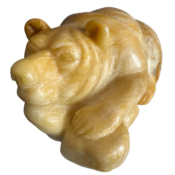 Honey Bear
