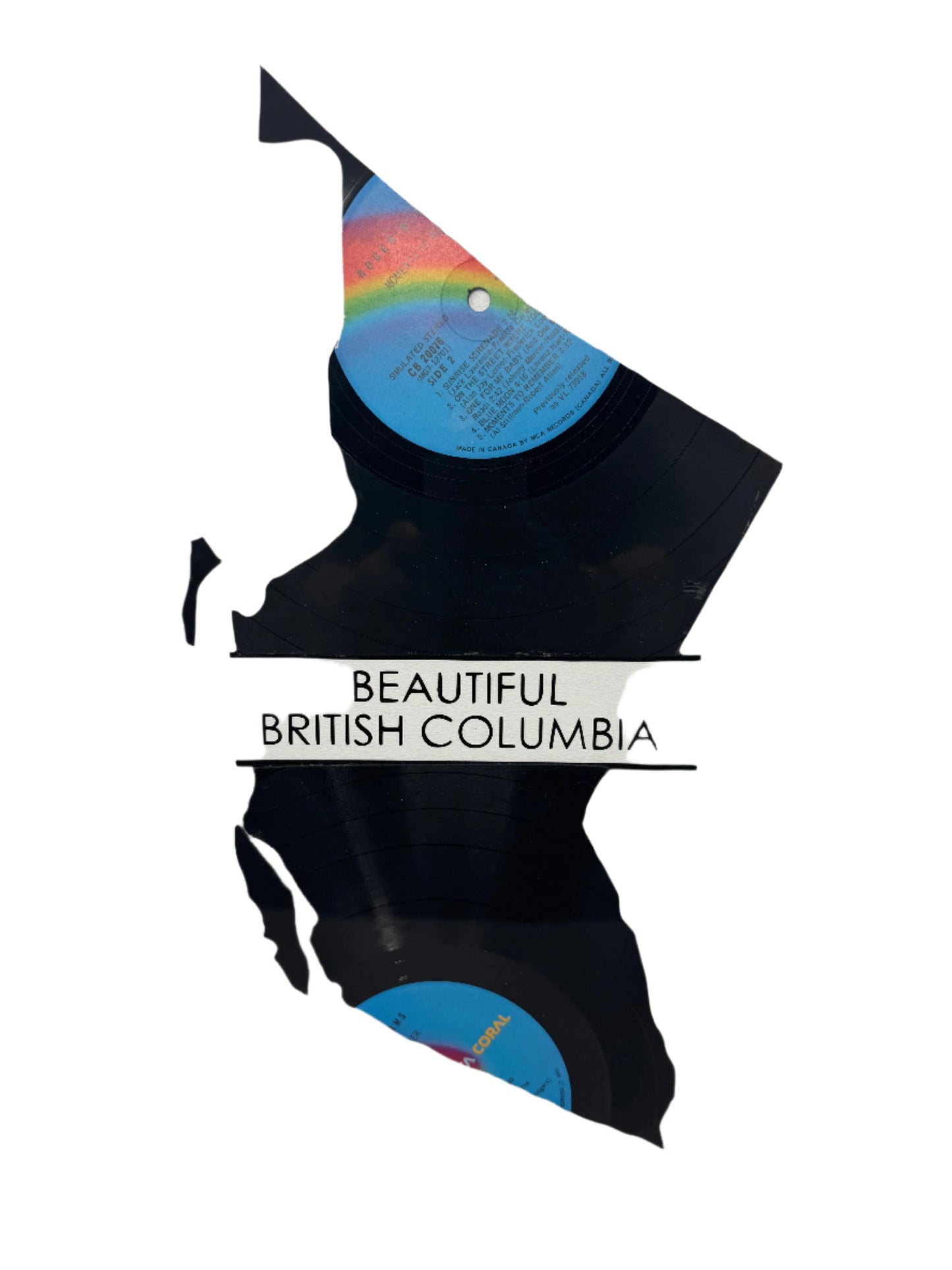 Vinyl Art of BC