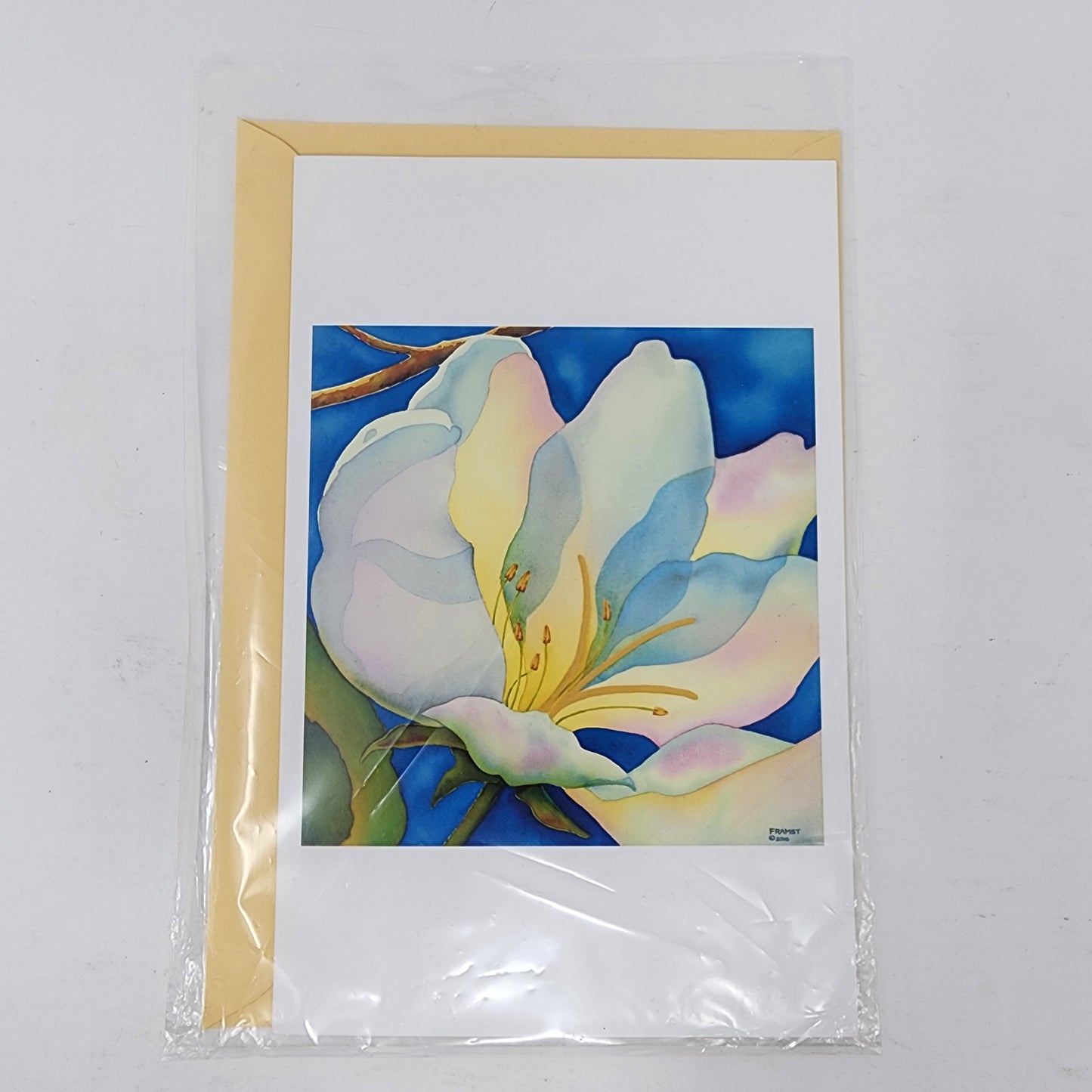 Watercolour Flower Art Cards