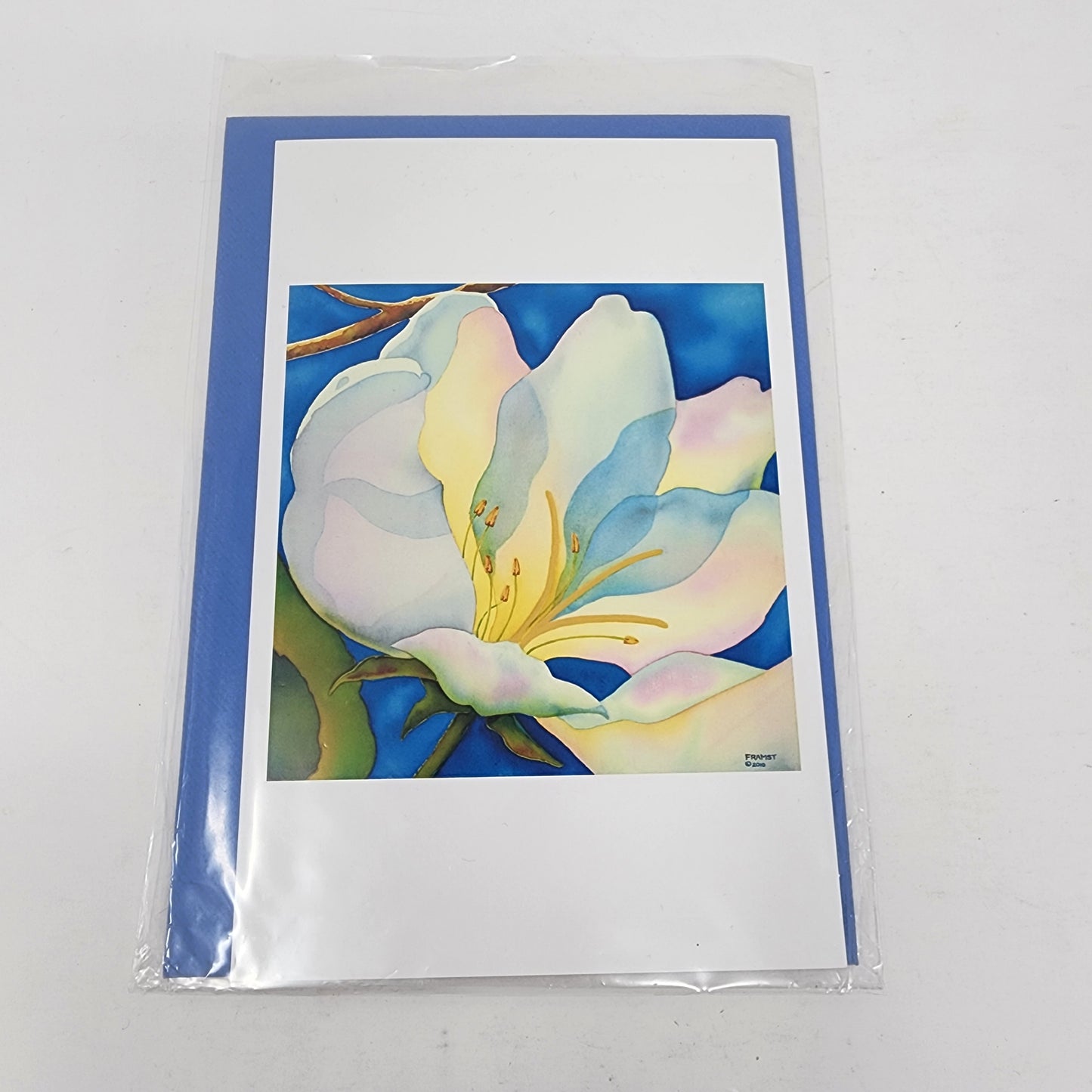 Watercolour Flower Art Cards