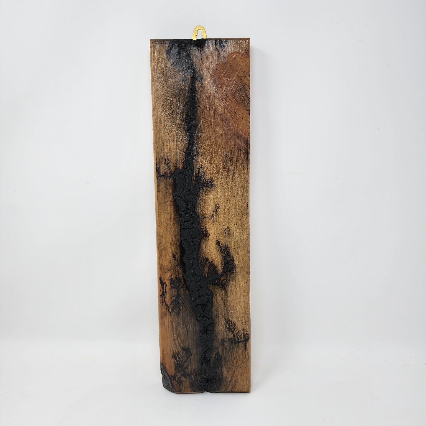 Charred Vertical Wood Art