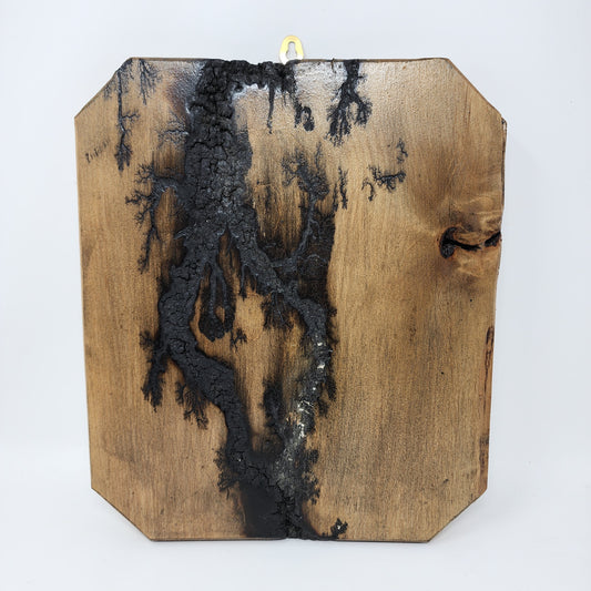 Charred Wood Art